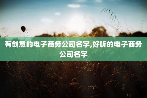 有创意的电子商务公司名字,好听的电子商务公司名字