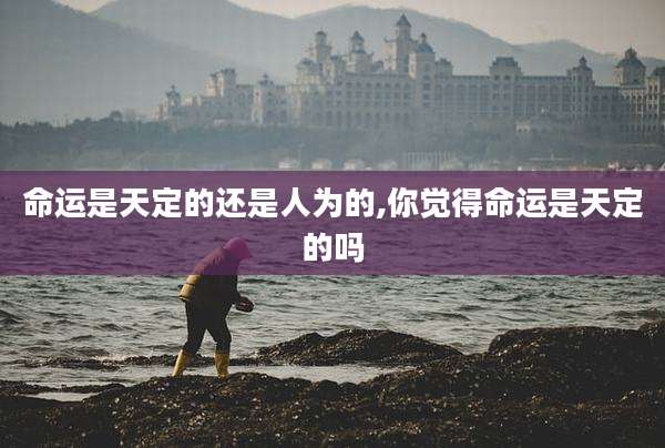 命运是天定的还是人为的,你觉得命运是天定的吗