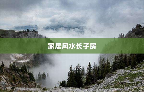家居风水长子房