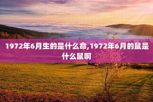 1972年6月生的是什么命,1972年6月的鼠是什么鼠啊