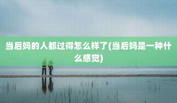 当后妈的人都过得怎么样了(当后妈是一种什么感觉)