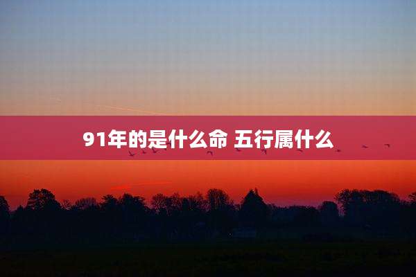 91年的是什么命 五行属什么