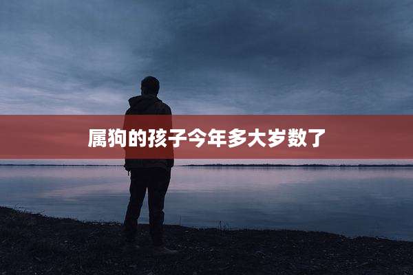 属狗的孩子今年多大岁数了