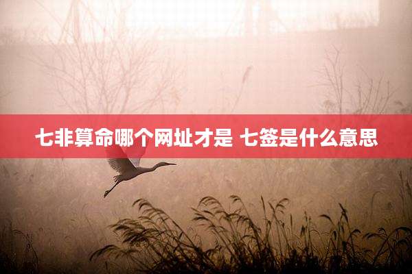 七非算命哪个网址才是 七签是什么意思