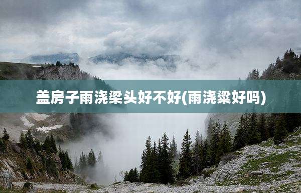 盖房子雨浇梁头好不好(雨浇粱好吗)