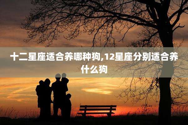 十二星座适合养哪种狗,12星座分别适合养什么狗