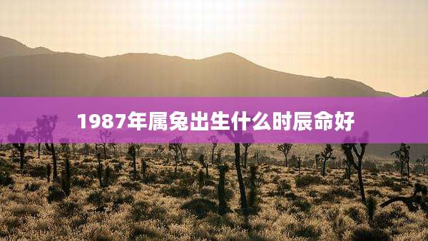 1987年属兔出生什么时辰命好