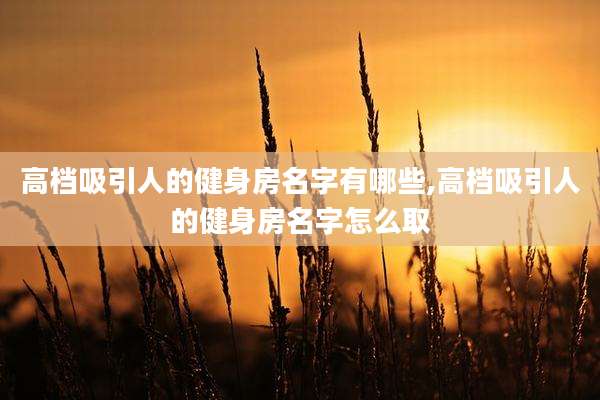 高档吸引人的健身房名字有哪些,高档吸引人的健身房名字怎么取