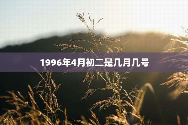 1996年4月初二是几月几号
