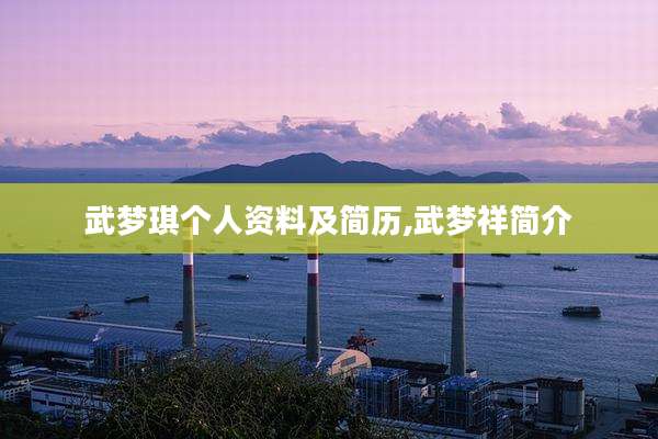 武梦琪个人资料及简历,武梦祥简介