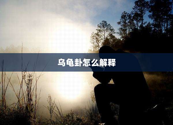 乌龟卦怎么解释