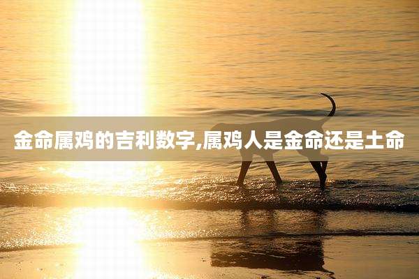 金命属鸡的吉利数字,属鸡人是金命还是土命