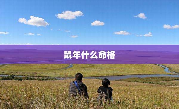 鼠年什么命格