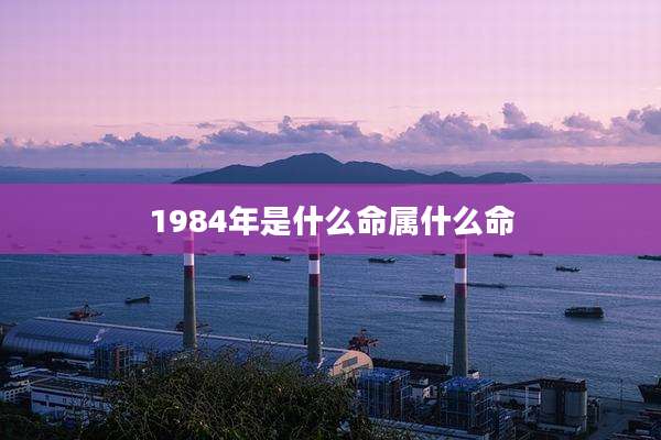 1984年是什么命属什么命