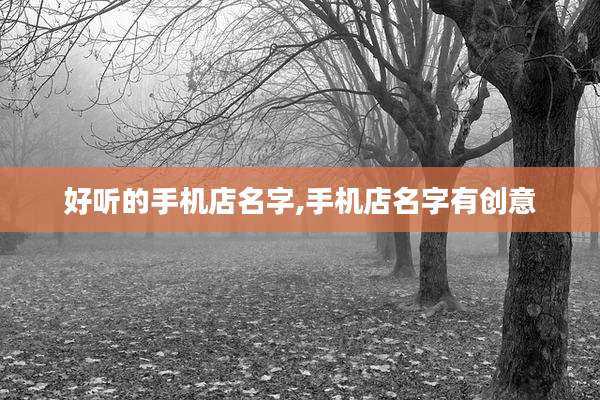好听的手机店名字,手机店名字有创意