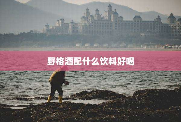 野格酒配什么饮料好喝