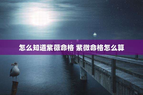 怎么知道紫薇命格 紫微命格怎么算