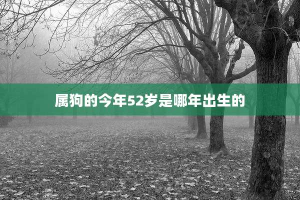 属狗的今年52岁是哪年出生的