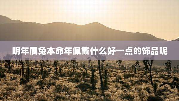 明年属兔本命年佩戴什么好一点的饰品呢