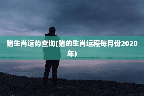 猪生肖运势查询(猪的生肖运程每月份2020年)