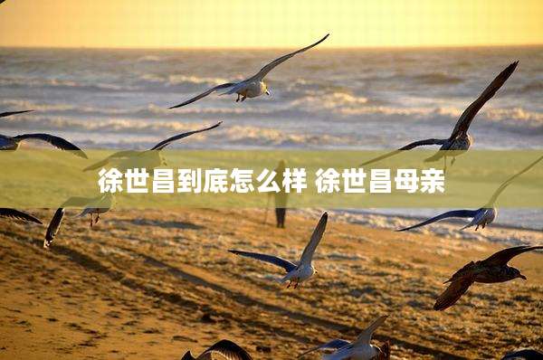 徐世昌到底怎么样 徐世昌母亲