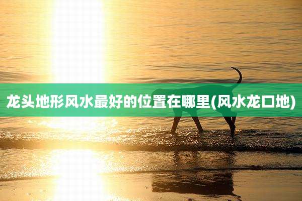 龙头地形风水最好的位置在哪里(风水龙口地)