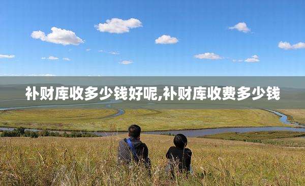 补财库收多少钱好呢,补财库收费多少钱