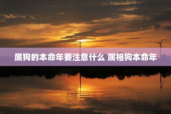 属狗的本命年要注意什么 属相狗本命年