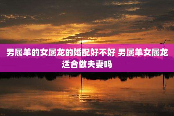 男属羊的女属龙的婚配好不好 男属羊女属龙适合做夫妻吗