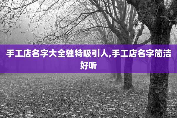 手工店名字大全独特吸引人,手工店名字简洁好听