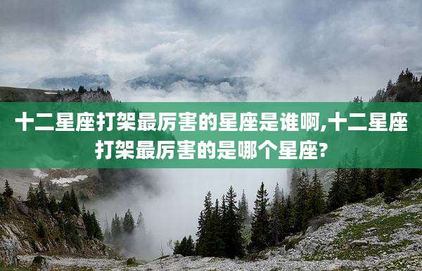 十二星座打架最厉害的星座是谁啊,十二星座打架最厉害的是哪个星座?