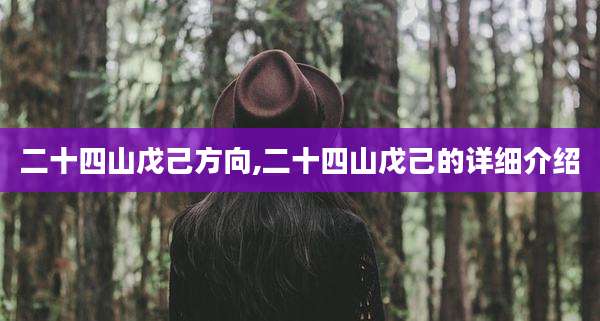 二十四山戊己方向,二十四山戊己的详细介绍