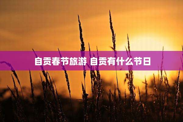 自贡春节旅游 自贡有什么节日