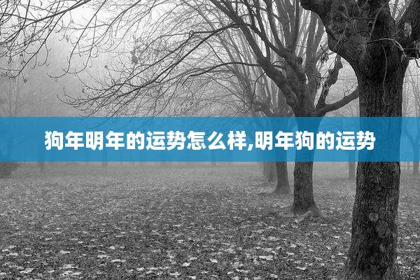 狗年明年的运势怎么样,明年狗的运势