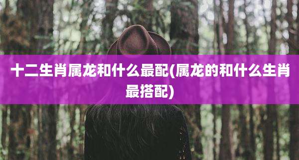 十二生肖属龙和什么最配(属龙的和什么生肖最搭配)