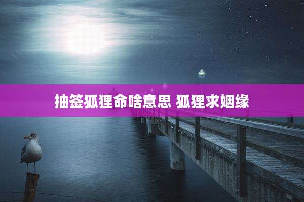 抽签狐狸命啥意思 狐狸求姻缘