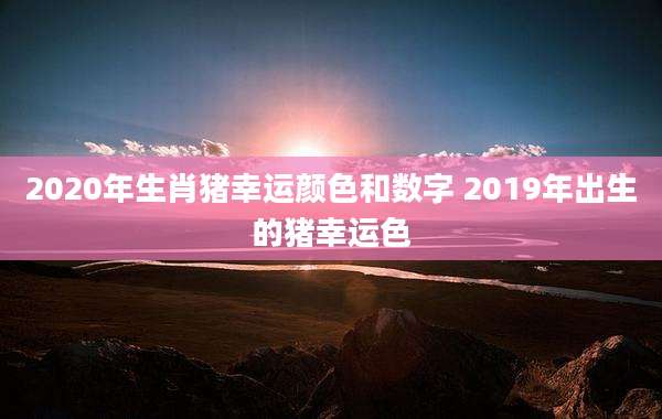 2020年生肖猪幸运颜色和数字 2019年出生的猪幸运色