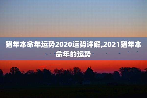 猪年本命年运势2020运势详解,2021猪年本命年的运势