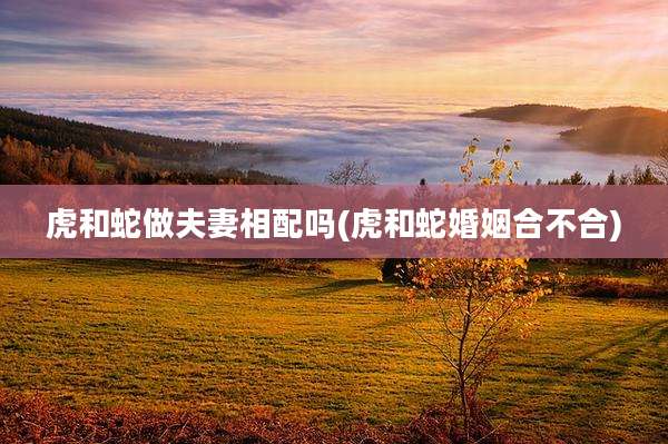 虎和蛇做夫妻相配吗(虎和蛇婚姻合不合)