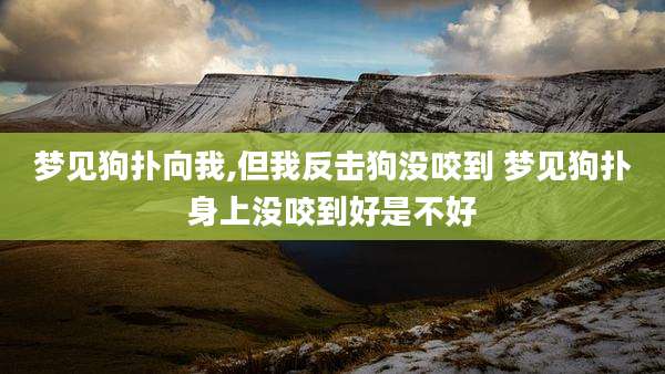 梦见狗扑向我,但我反击狗没咬到 梦见狗扑身上没咬到好是不好