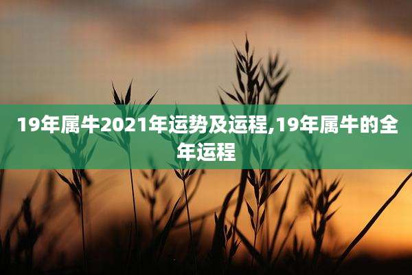 19年属牛2021年运势及运程,19年属牛的全年运程