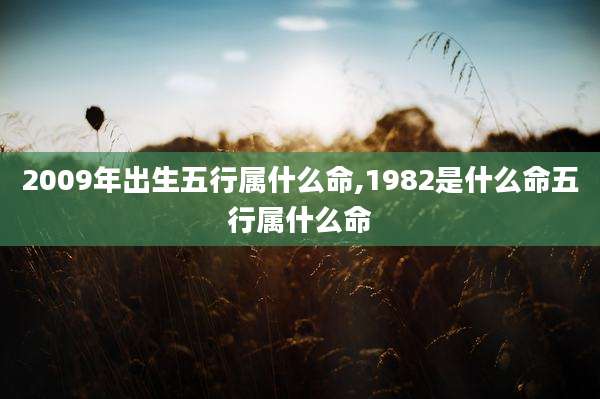 2009年出生五行属什么命,1982是什么命五行属什么命