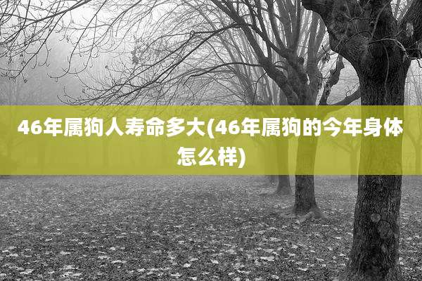 46年属狗人寿命多大(46年属狗的今年身体怎么样)