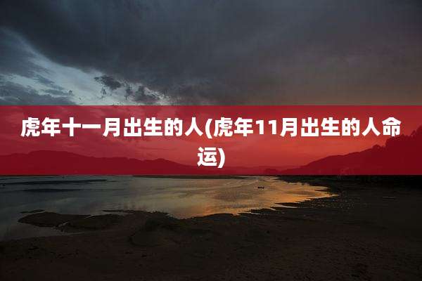 虎年十一月出生的人(虎年11月出生的人命运)