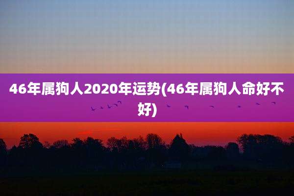 46年属狗人2020年运势(46年属狗人命好不好)