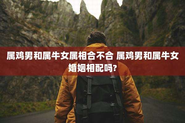 属鸡男和属牛女属相合不合 属鸡男和属牛女婚姻相配吗?