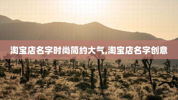 淘宝店名字时尚简约大气,淘宝店名字创意