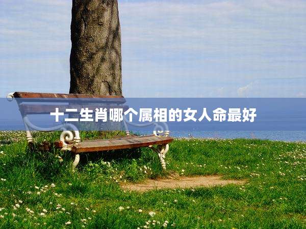 十二生肖哪个属相的女人命最好
