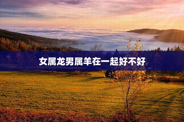 女属龙男属羊在一起好不好