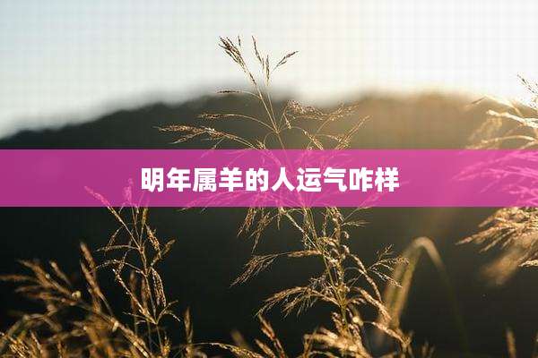 明年属羊的人运气咋样